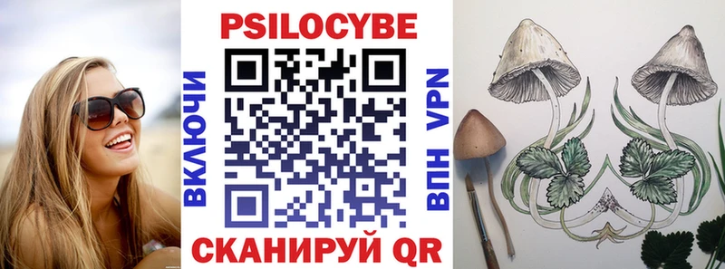 купить закладку  сайты даркнета клад  Галлюциногенные грибы Cubensis  Суздаль 