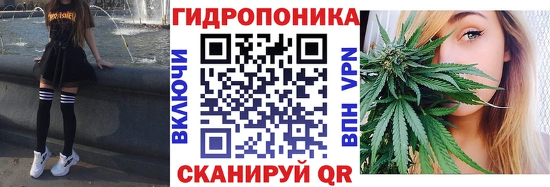 купить  сайты  Суздаль  Шишки марихуана план 